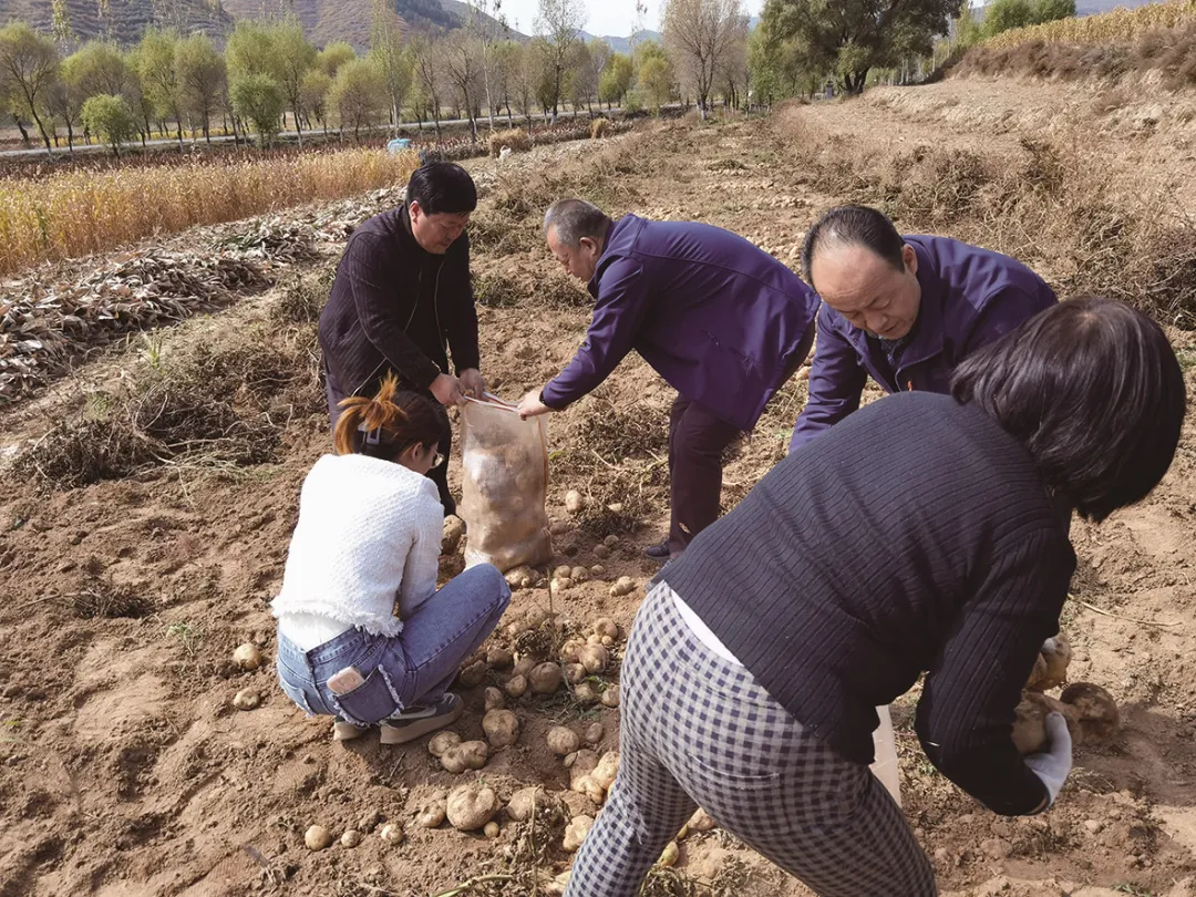 揭秘！庐山好运批发渠道订货指南及操作手册